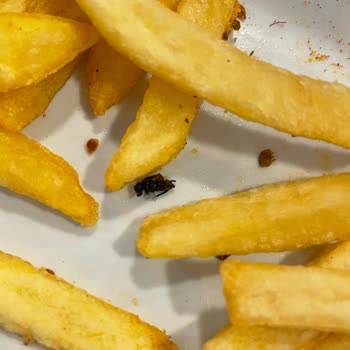 Köfteci Yusuf'ta Ölmüş Sinek Çirkinliği!