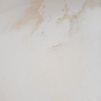 Tatilde Kirala Ve Paradise Villaları Pişmanlık