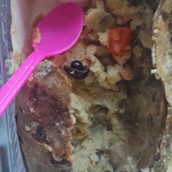 Granny's Waffles Getir Ve Granny's Waffle Bozuk Ürün Satışı Yapıyor