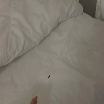 Tatil Sepeti Otobüslü İtalya Turu Mağduriyeti
