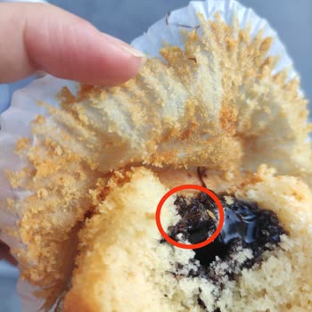 Ülker Dankek Kekin İçinden Kirpik Çıktı