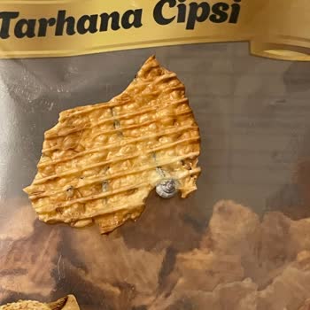 Haşiroğlu Tarhanadan Salyangoz Kabuğu Çıktı!