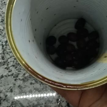 Eki aç