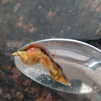Tarım Kredi Kooperatif Market Şişeden Çürümüş Yeşil Şeyler Çıktı