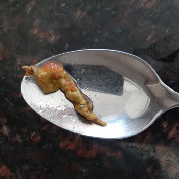 Tarım Kredi Kooperatif Market Şişeden Çürümüş Yeşil Şeyler Çıktı