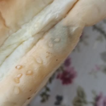 Nimet Gıda Küflü Ekmek