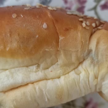 Nimet Gıda Küflü Ekmek