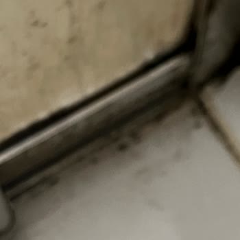 Hotel Prinkipos Otel Çok Kötü
