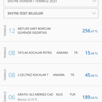 Denizbank Kart Borcum Güvende Sigortası