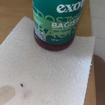 Exotic Meyve Suları Exotic Meyve Suyunda Böcek