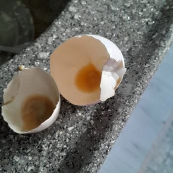 Seyhanlar Market (Bursa) Seyhanlar Marketten Aldığım Yumurtalar Bozuk Çıktı