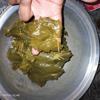 Tokat Kadın Kooperatifleri Asma Yaprağı Ufacık