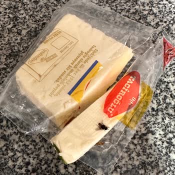 Taciroğlu Peynirden Ölü Sinek Çıktı!