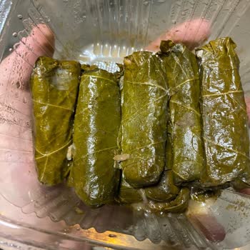 Çaşnigir Lezzetçibaşı Bozuk, Küflenmiş Gıda