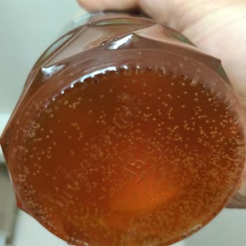 Balparmak Yayla Ve Ova Doğal Bal Şekerlenmiş!