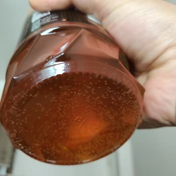 Balparmak Yayla Ve Ova Doğal Bal Şekerlenmiş!