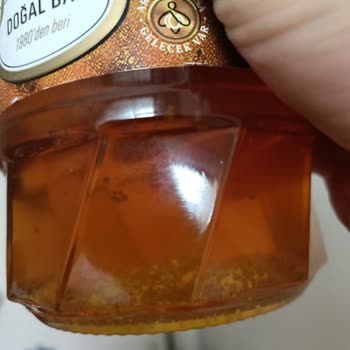 Balparmak Yayla Ve Ova Doğal Bal Şekerlenmiş!