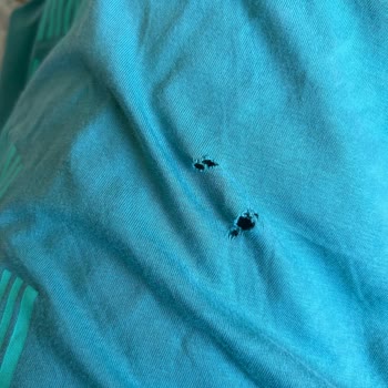 Mavi T-shirt Üretim Hatası