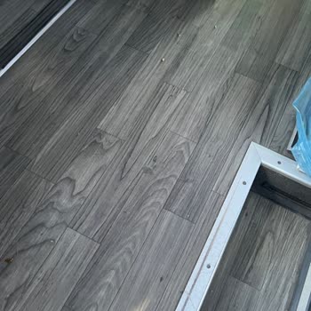 Öztur Turizm Arabada Böcek İstilası