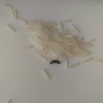 BİM Lezzeti Efsane Basmati Pirincin İçinden Kötü Bir Şey Çıktı