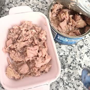 BİM Ton Balığında Kılçık Çıkması