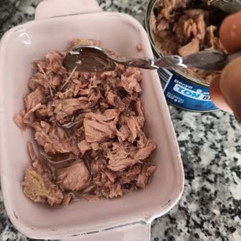 Derya Ton Balığı'nda Kılçık Çıktı