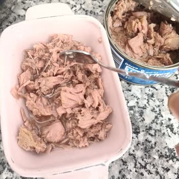 Derya Ton Balığı'nda Kılçık Çıktı