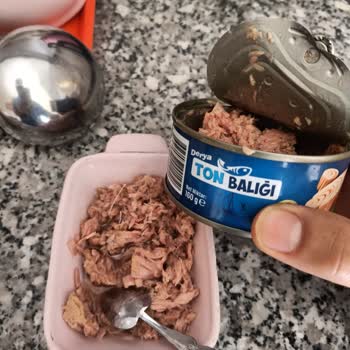 Derya Ton Balığı'nda Kılçık Çıktı