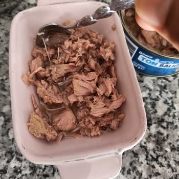 Derya Ton Balığı'nda Kılçık Çıktı