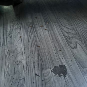 Öztur Turizm Otobüsü Hamam Böcekleriyle Dolu