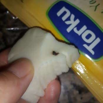 Torku Tost Peyniri Hamam Böceği