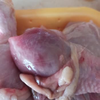 BİM Etinden Kıl Çıktı