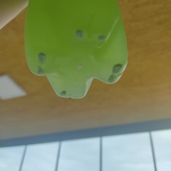 Schweppes Bitter Lemon İçinde Garip Maddeler