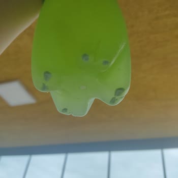 Schweppes Bitter Lemon İçinde Garip Maddeler