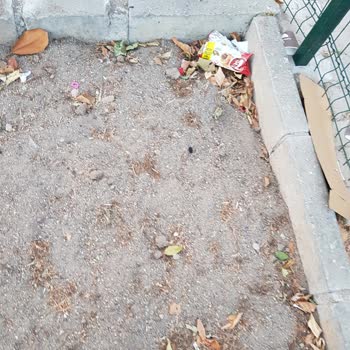 Altıeylül Belediyesi Salgın Hastalık Kaynağı Parklar