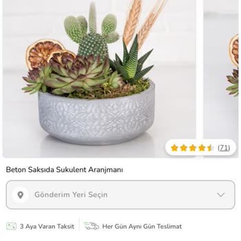 Çiçek Sepeti = İlgisizlik, Özensizlik, Memnuniyetsizlik