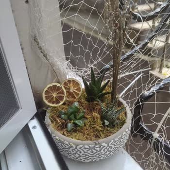 Çiçek Sepeti = İlgisizlik, Özensizlik, Memnuniyetsizlik