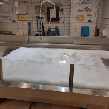 Carrefour SA Balık Tezgahı Var Balıklar Yok