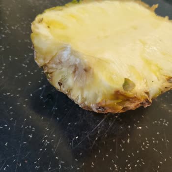 Migros Satın Aldığımız Ananas Çürümeye Başlamıştı