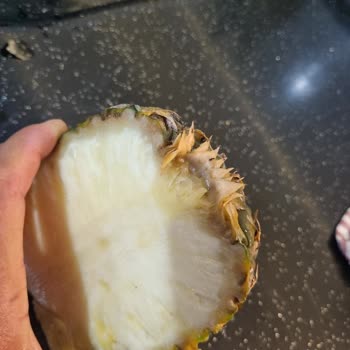 Migros Satın Aldığımız Ananas Çürümeye Başlamıştı