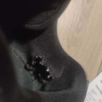 Adidas Forum Low Cl Alumın Ayakkabının İç Astar Yırtılması