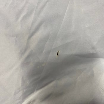 Decathlon Çadır Yırtık Cıktı