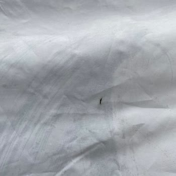 Decathlon Çadır Yırtık Cıktı