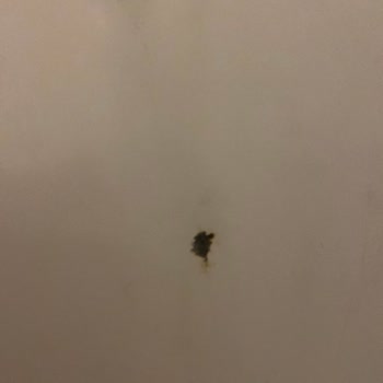 Ramazan Nakliyat (Diyarbakır) Her Açıdan Aşırı Kötü Firma