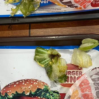 Burger King'te Hijyen Sıkıntısı