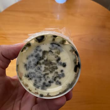 Sütaş Tereyağı Buzdolabında Küflendi