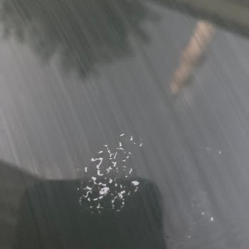 Dacia Tavan Boya Kalkması