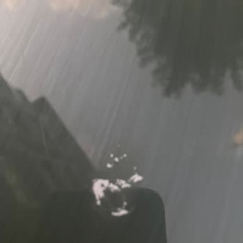 Dacia Tavan Boya Kalkması