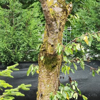 Hello Villam Muhafazakar Olmayan Ev