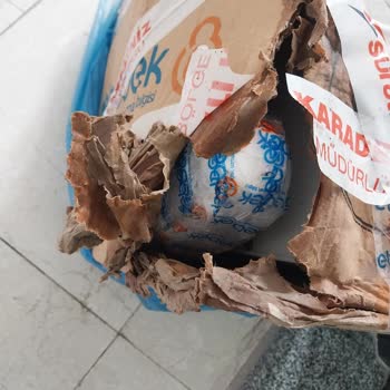 Scotty Kargo Sorumsuzluğu Ve Memnuniyetsizliği.